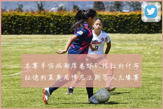 本赛季伤病潮席卷球队格拉利什布拉德利莱奥尼博尼法斯等人无缘赛季余下比赛