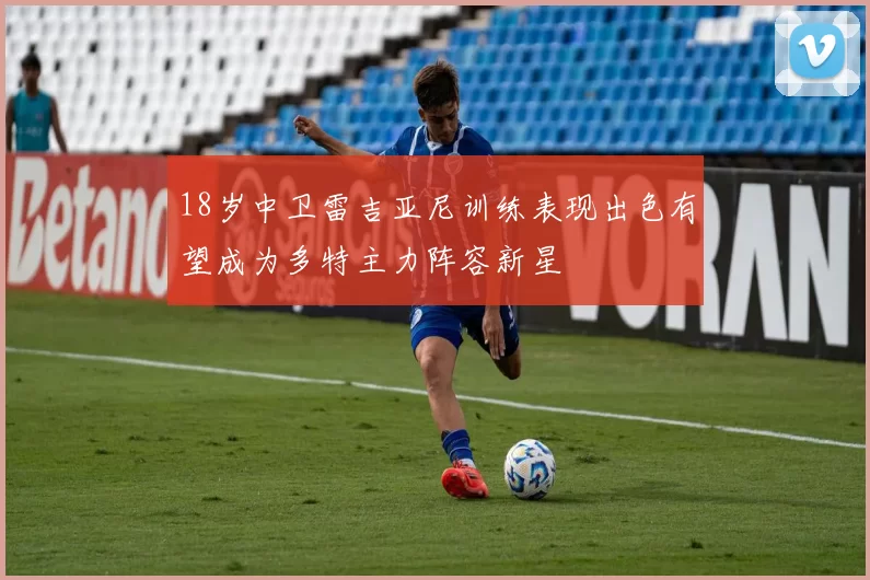 18岁中卫雷吉亚尼训练表现出色有望成为多特主力阵容新星